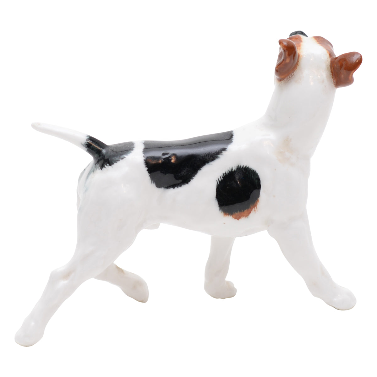 Bull Terrier Standing