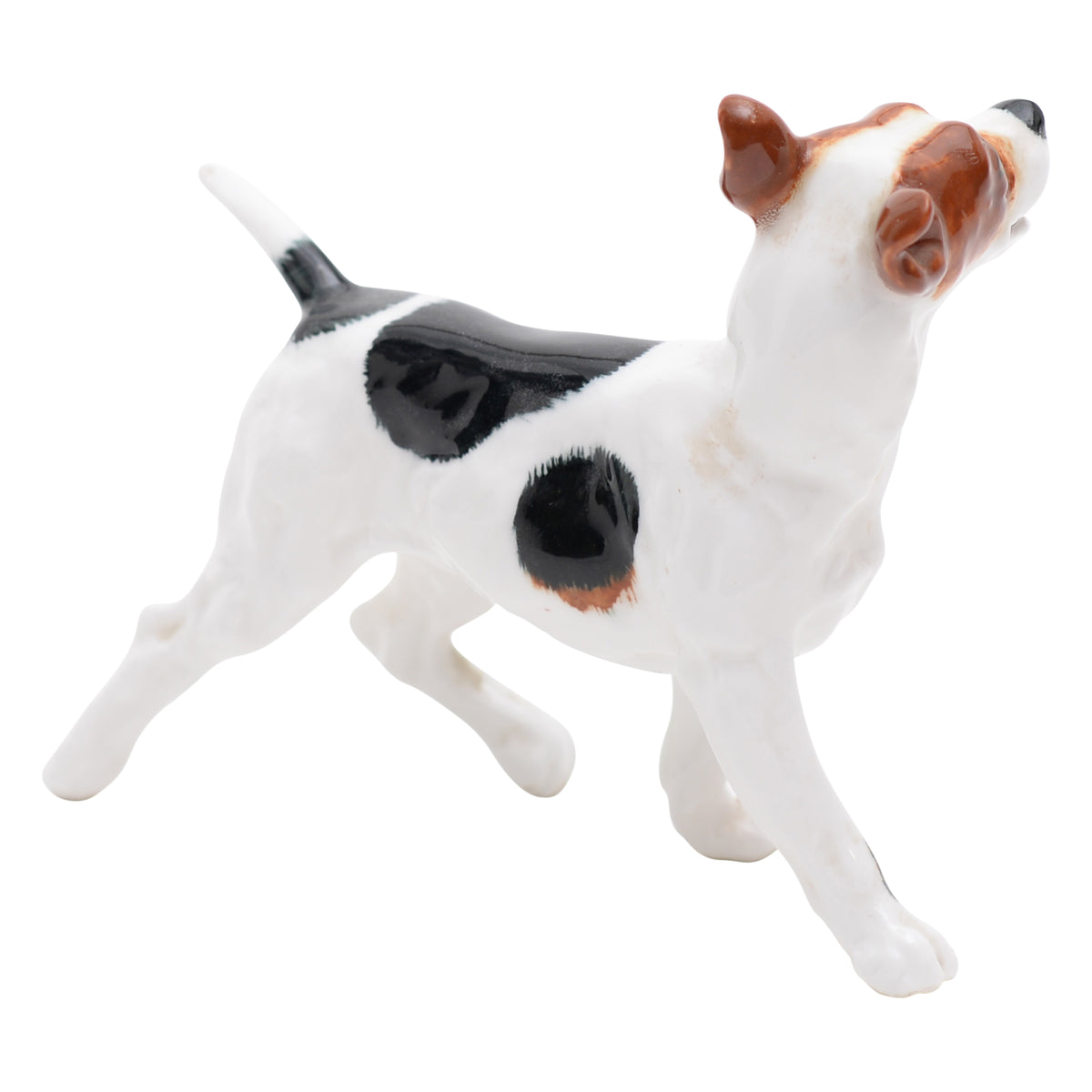 Bull Terrier Standing