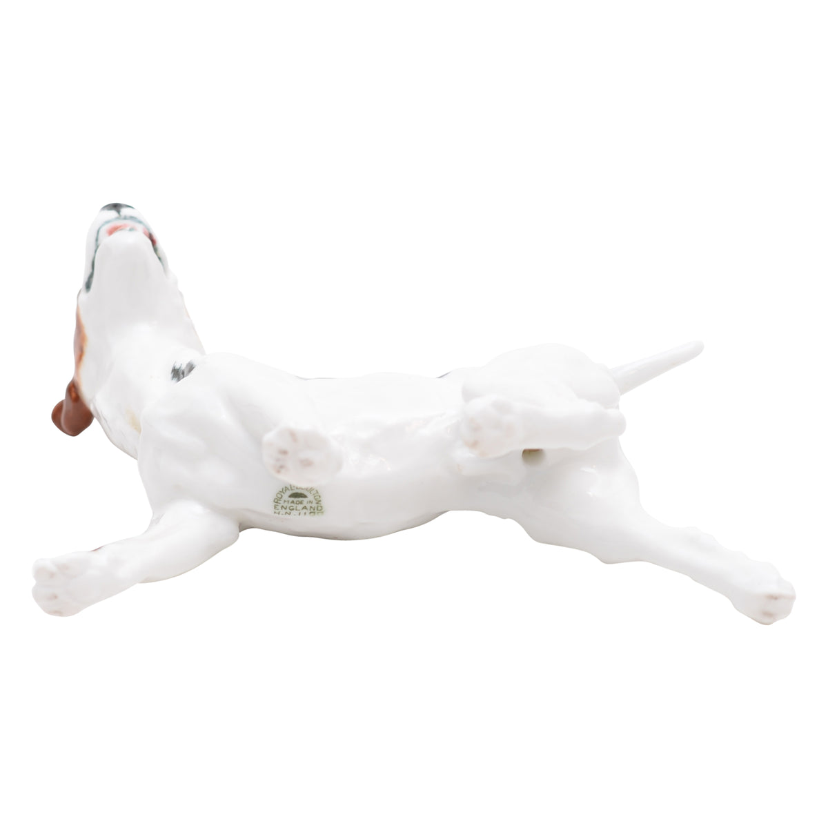 Bull Terrier Standing