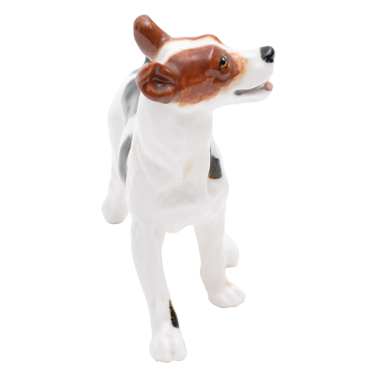 Bull Terrier Standing