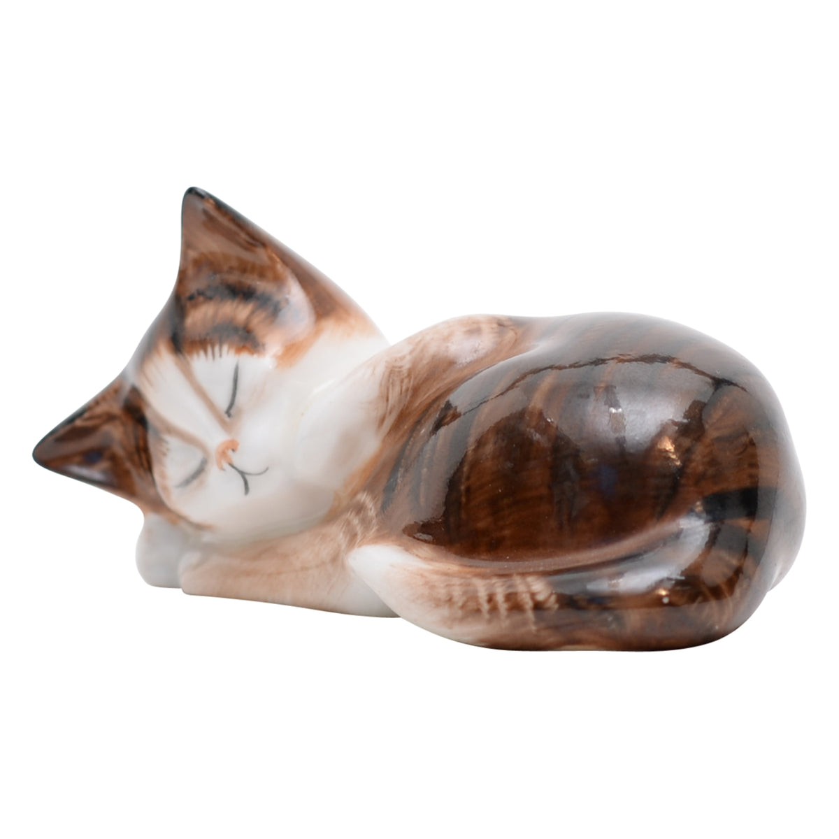 Kitten Sleeping