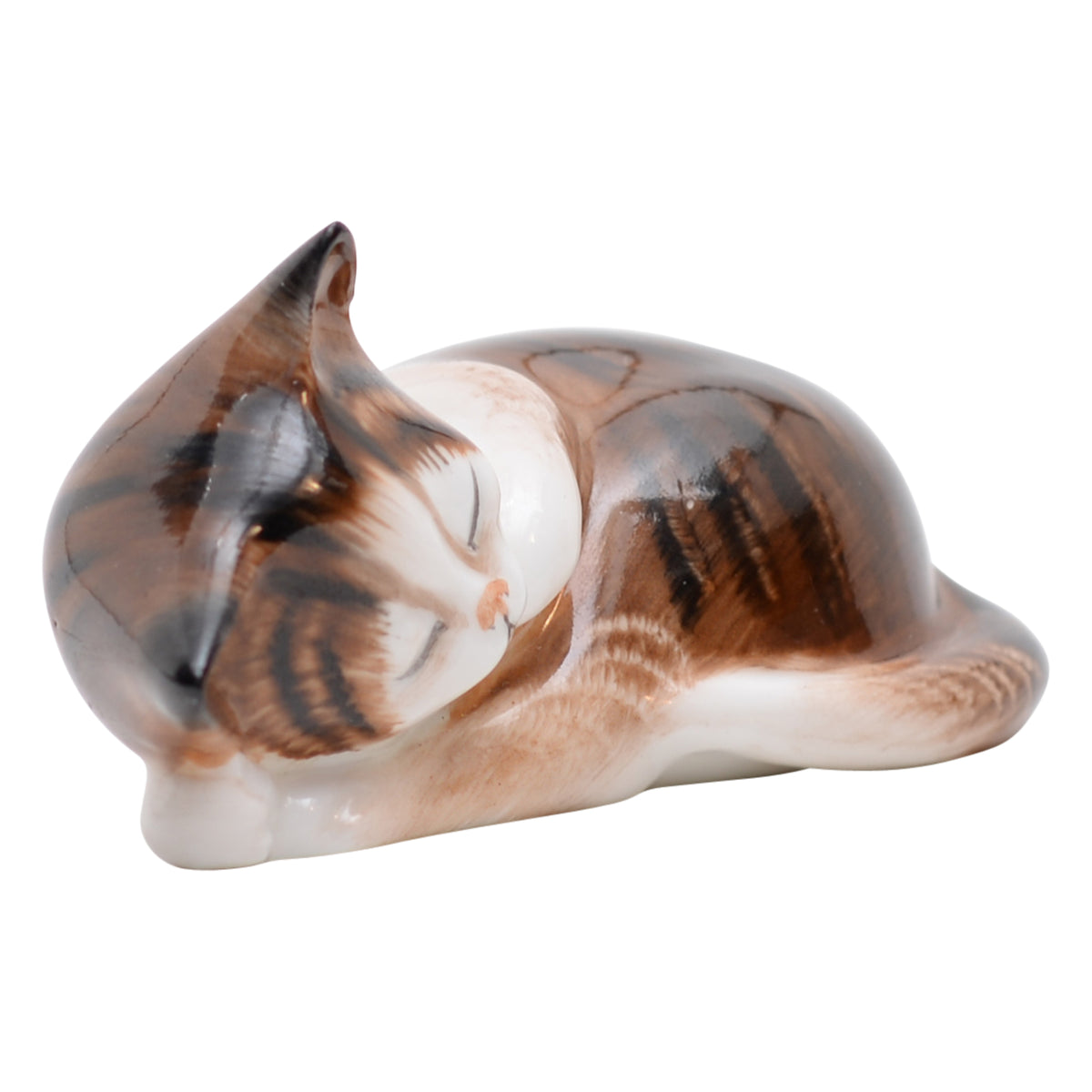 Kitten Sleeping