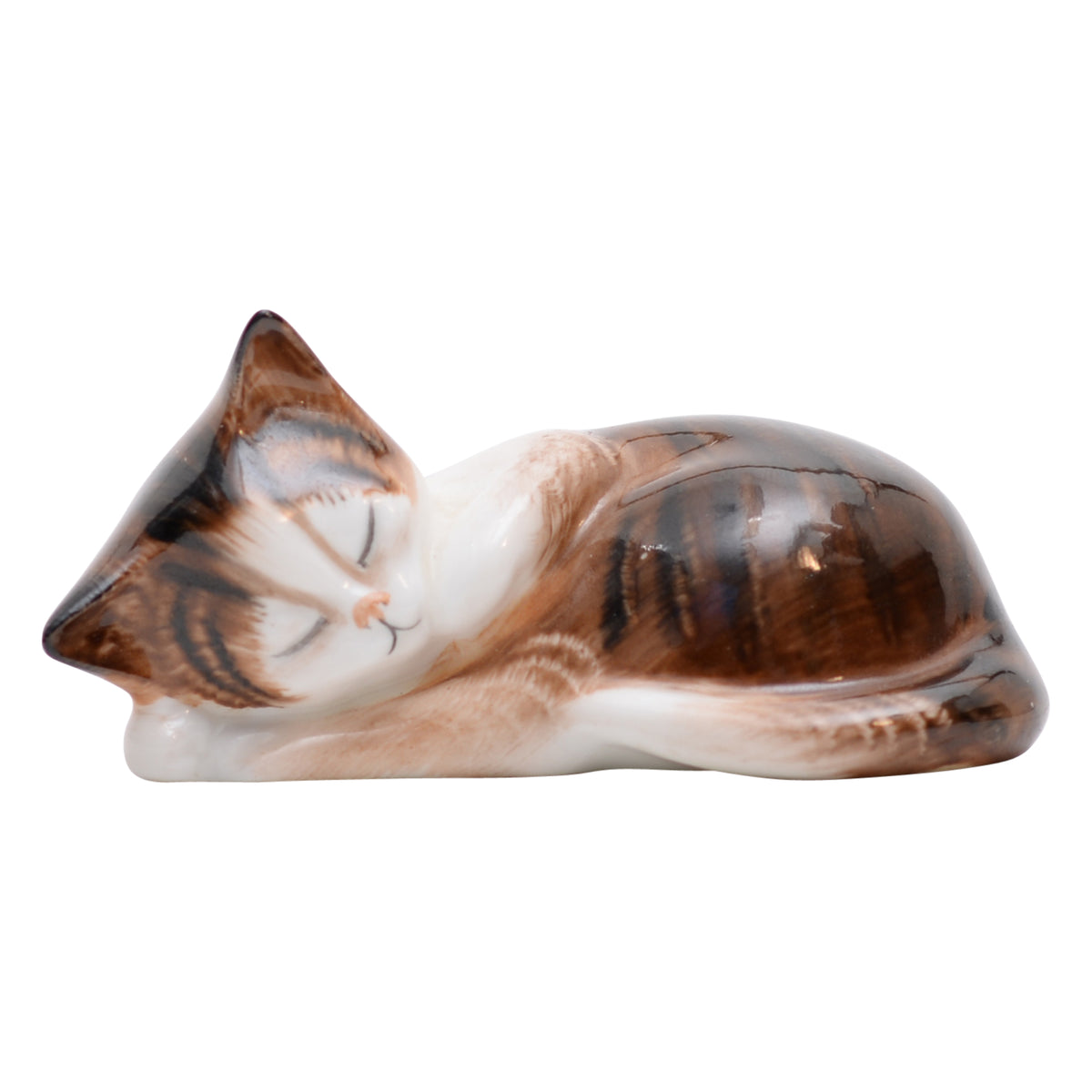 Kitten Sleeping