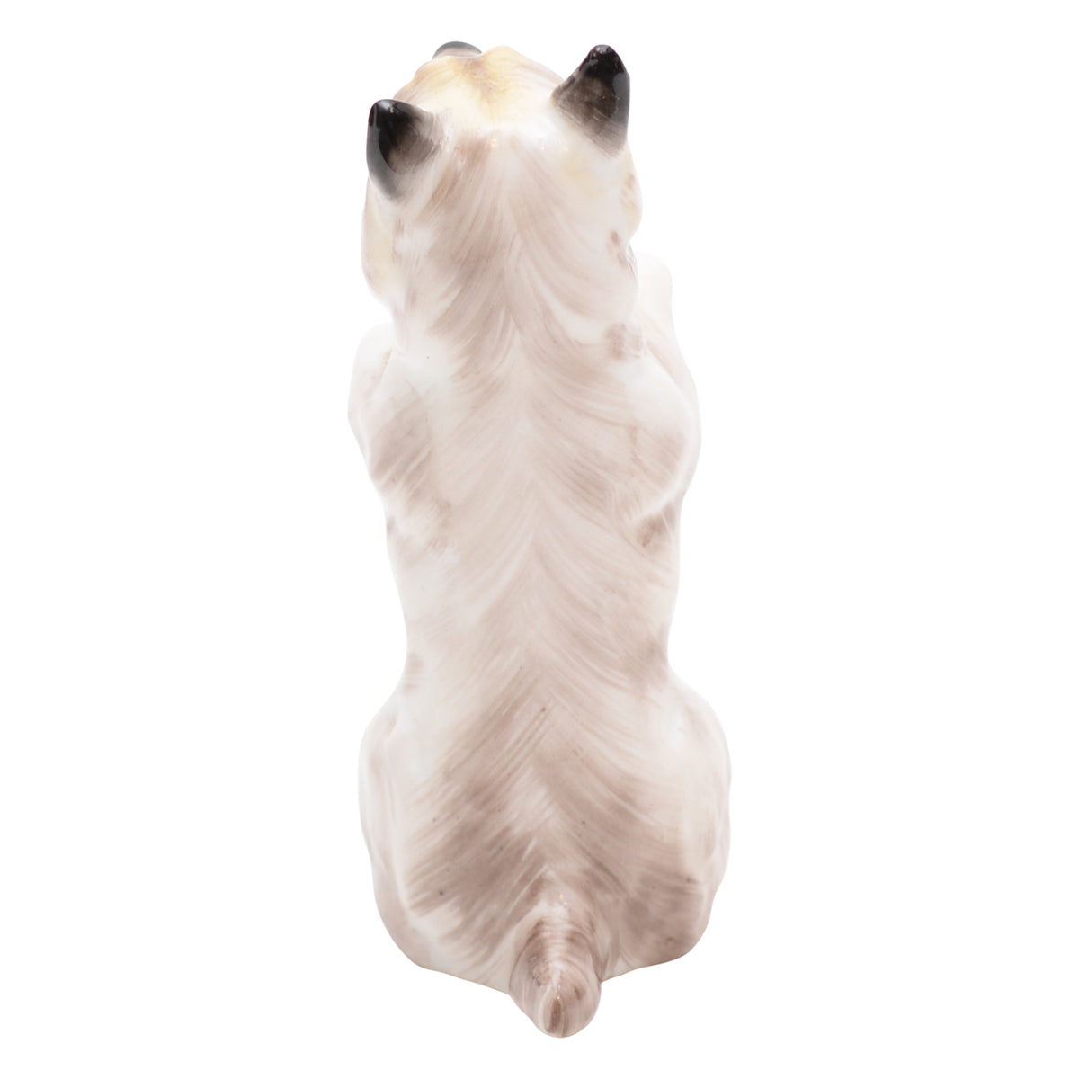 Cairn Terrier Begging