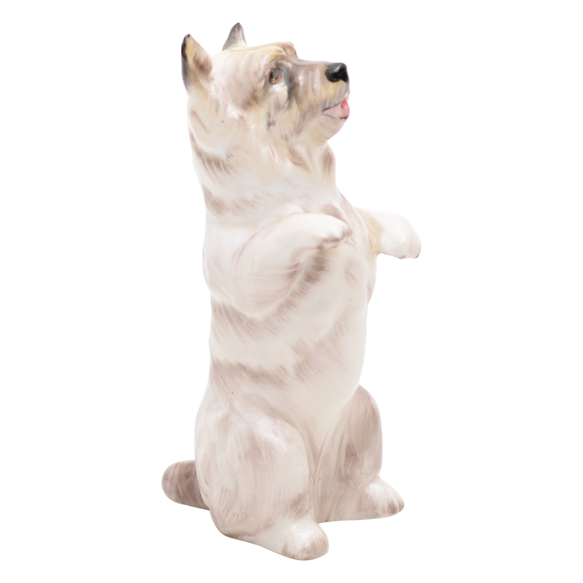 Cairn Terrier Begging