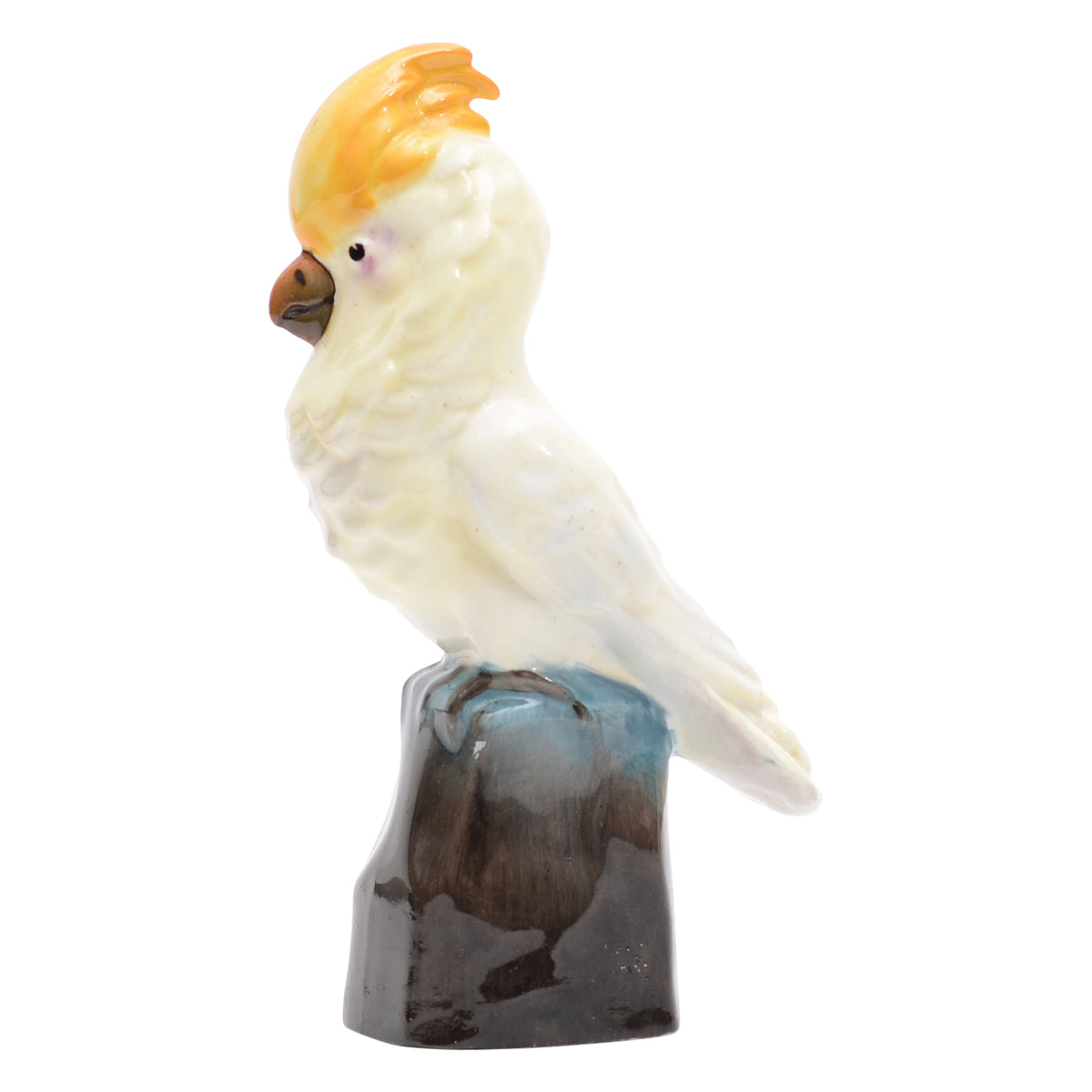 Cockatoo on a rock bird