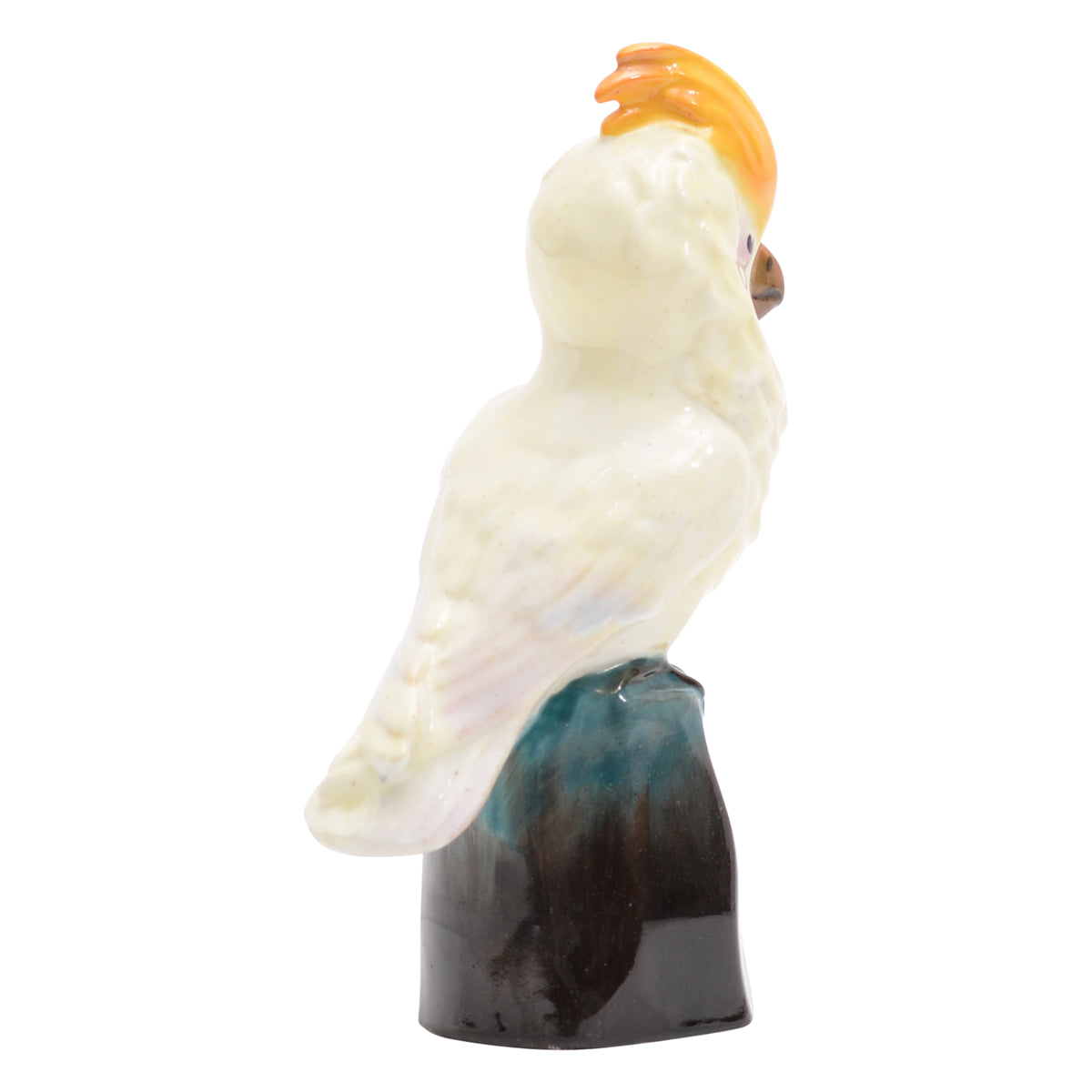 Cockatoo on a rock bird