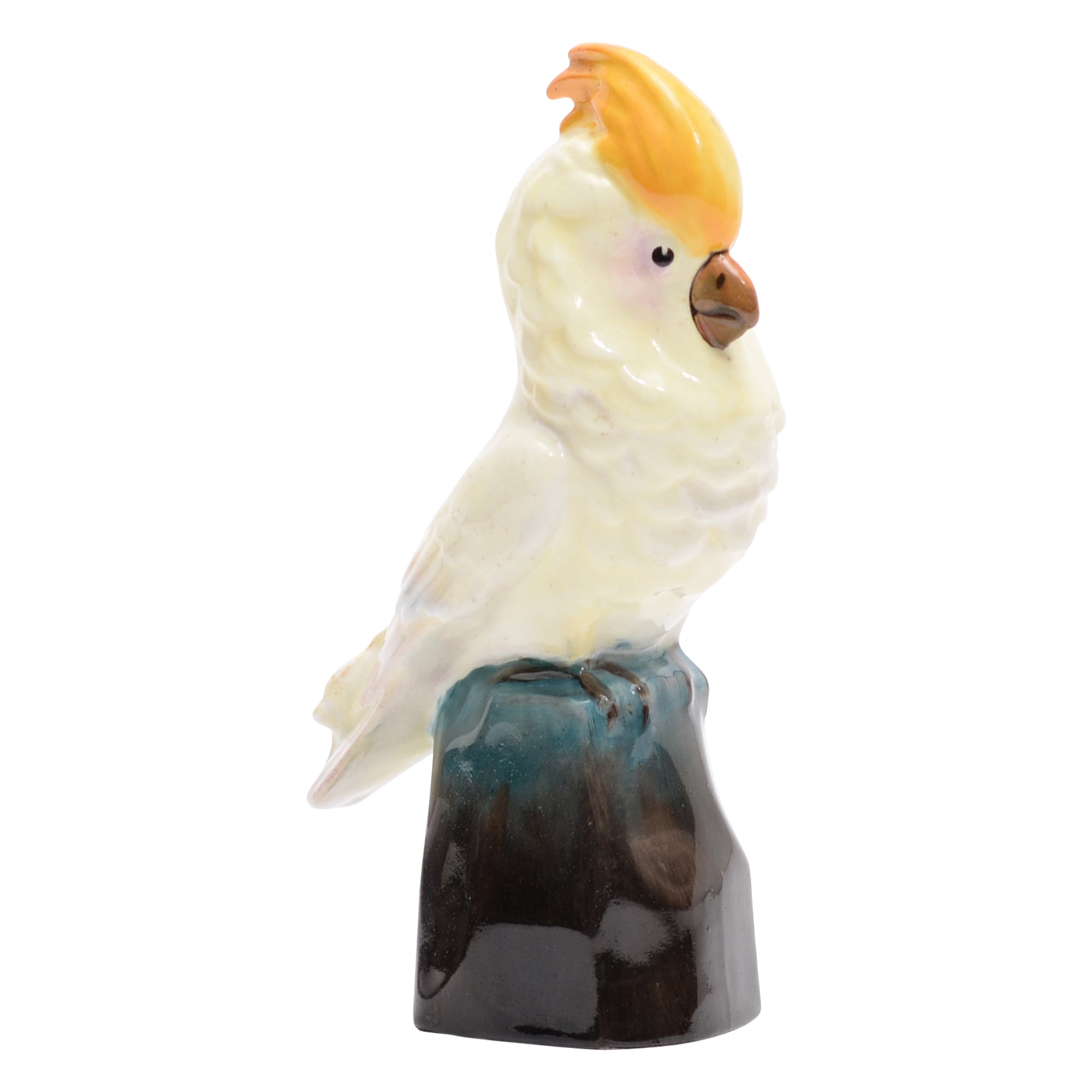 Cockatoo on a rock bird