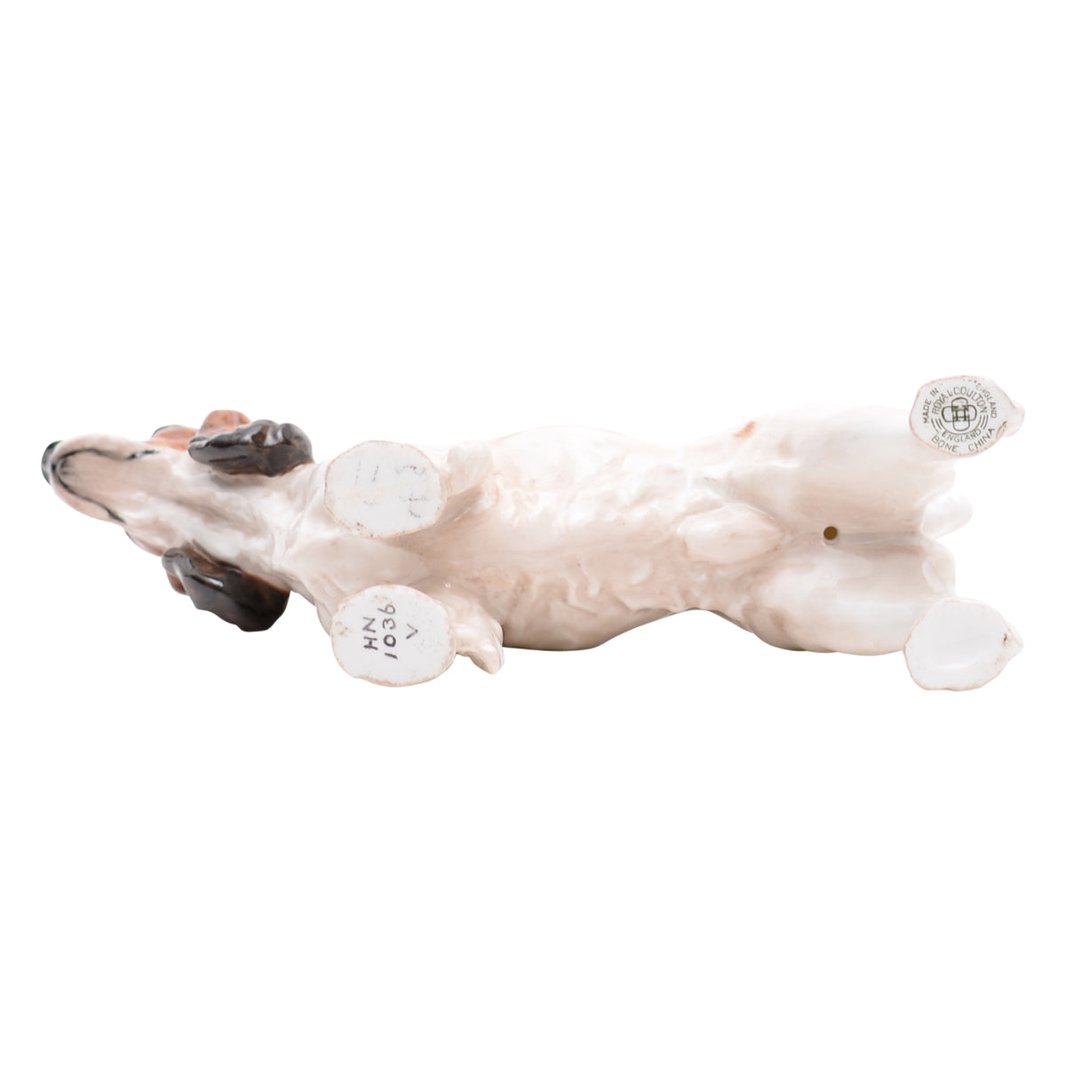 Cocker Spaniel Medium HN1036