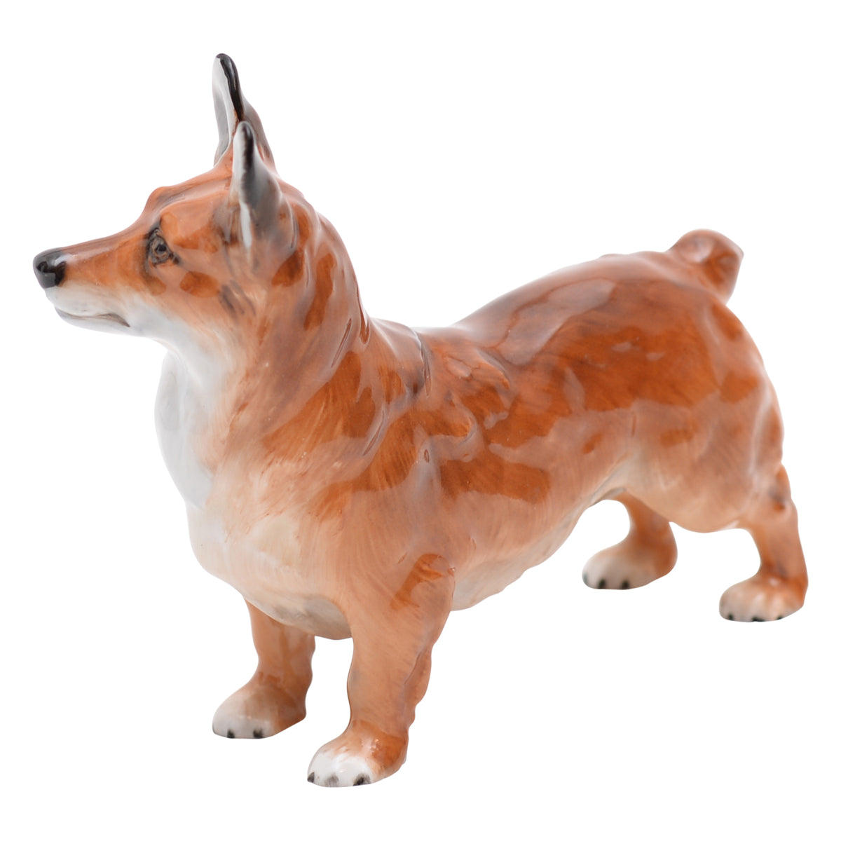 Welsh Corgi Small