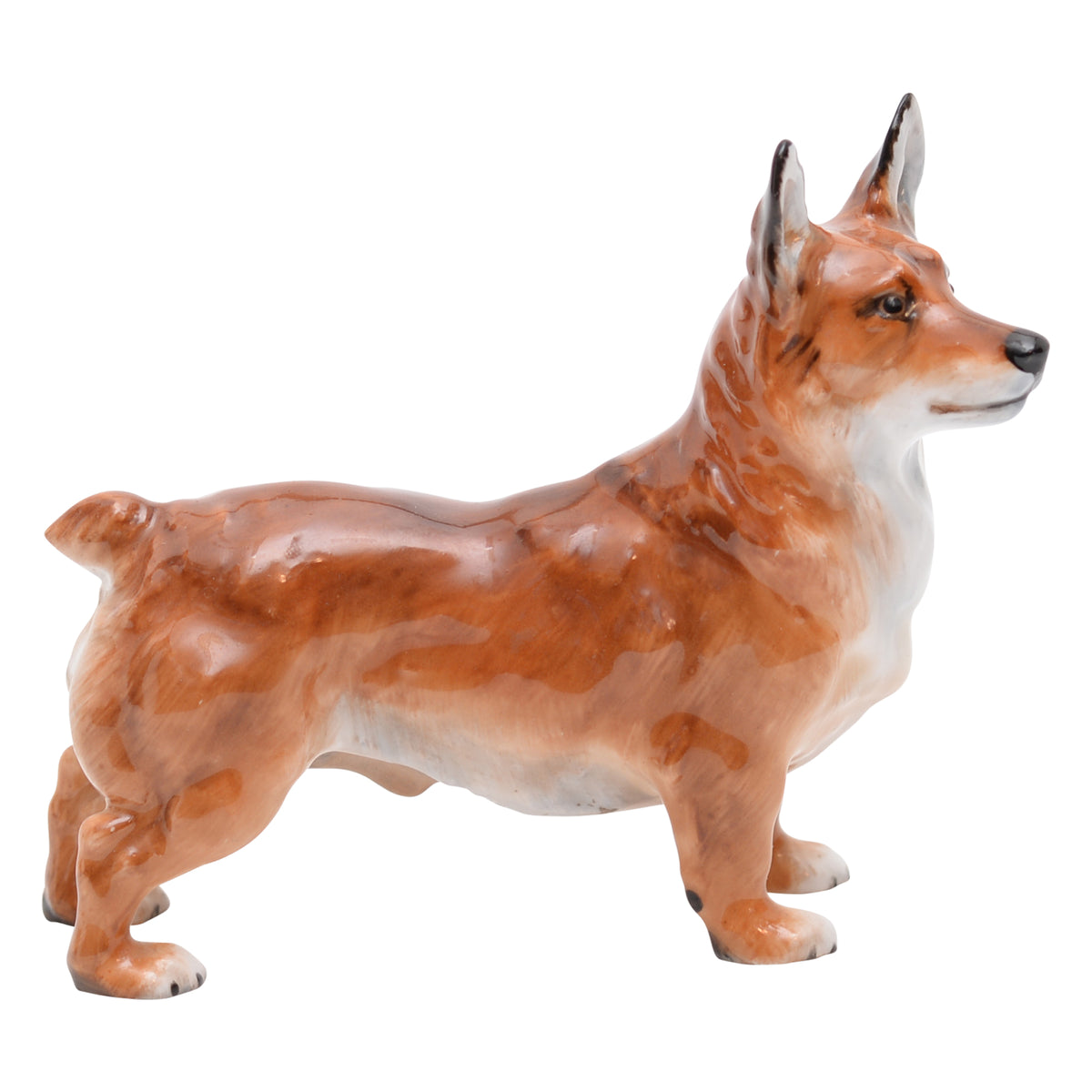 Welsh Corgi Small