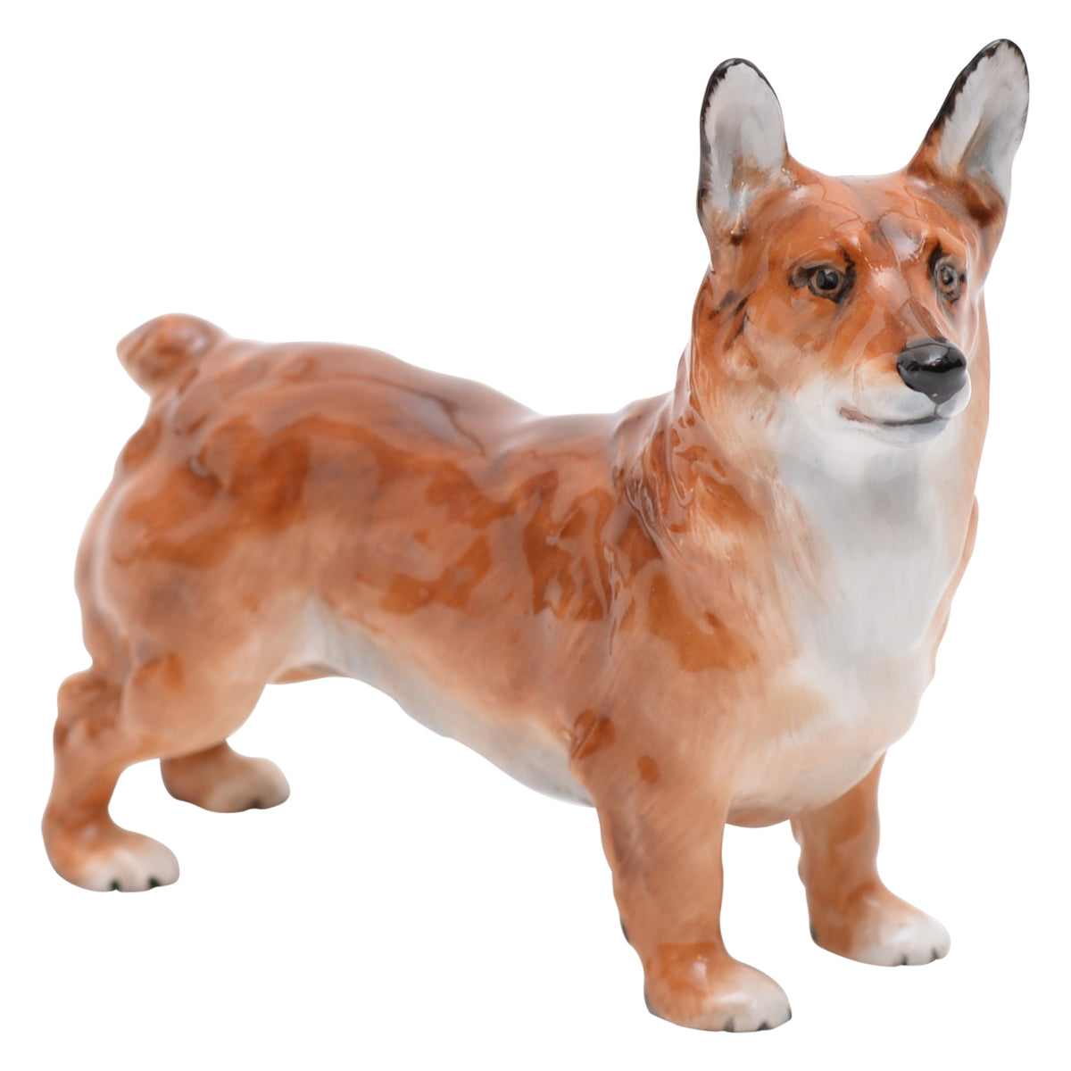 Welsh Corgi Small