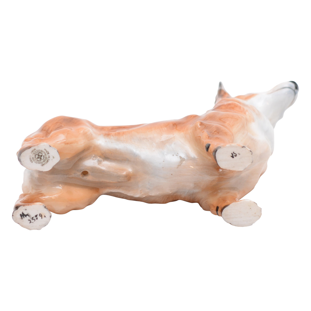 Welsh Corgi Small