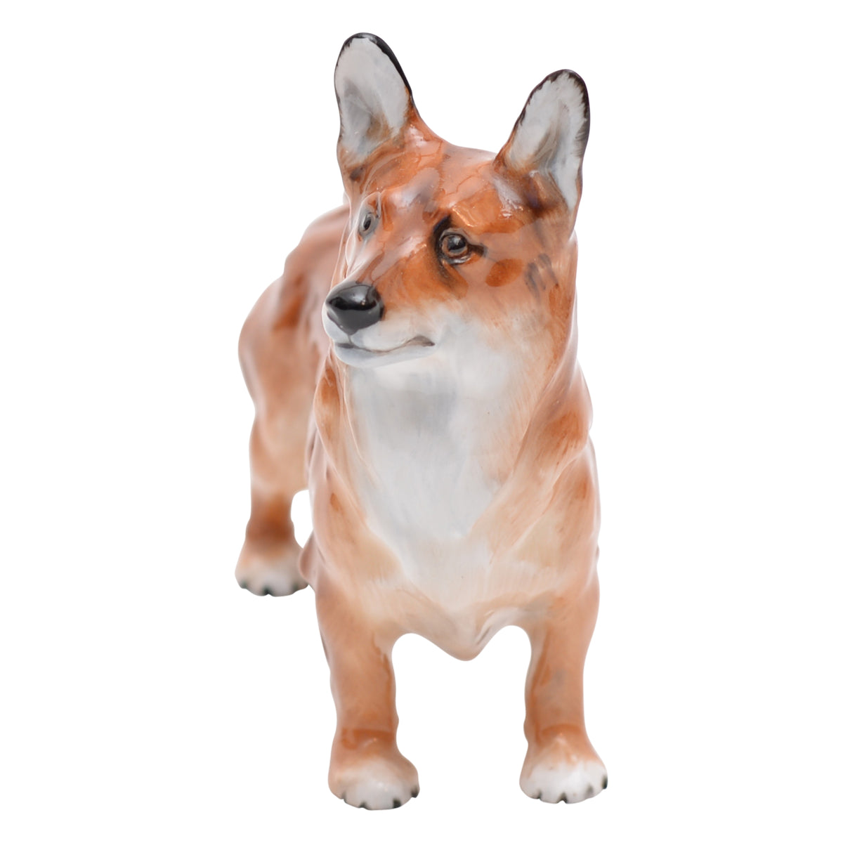Welsh Corgi Small
