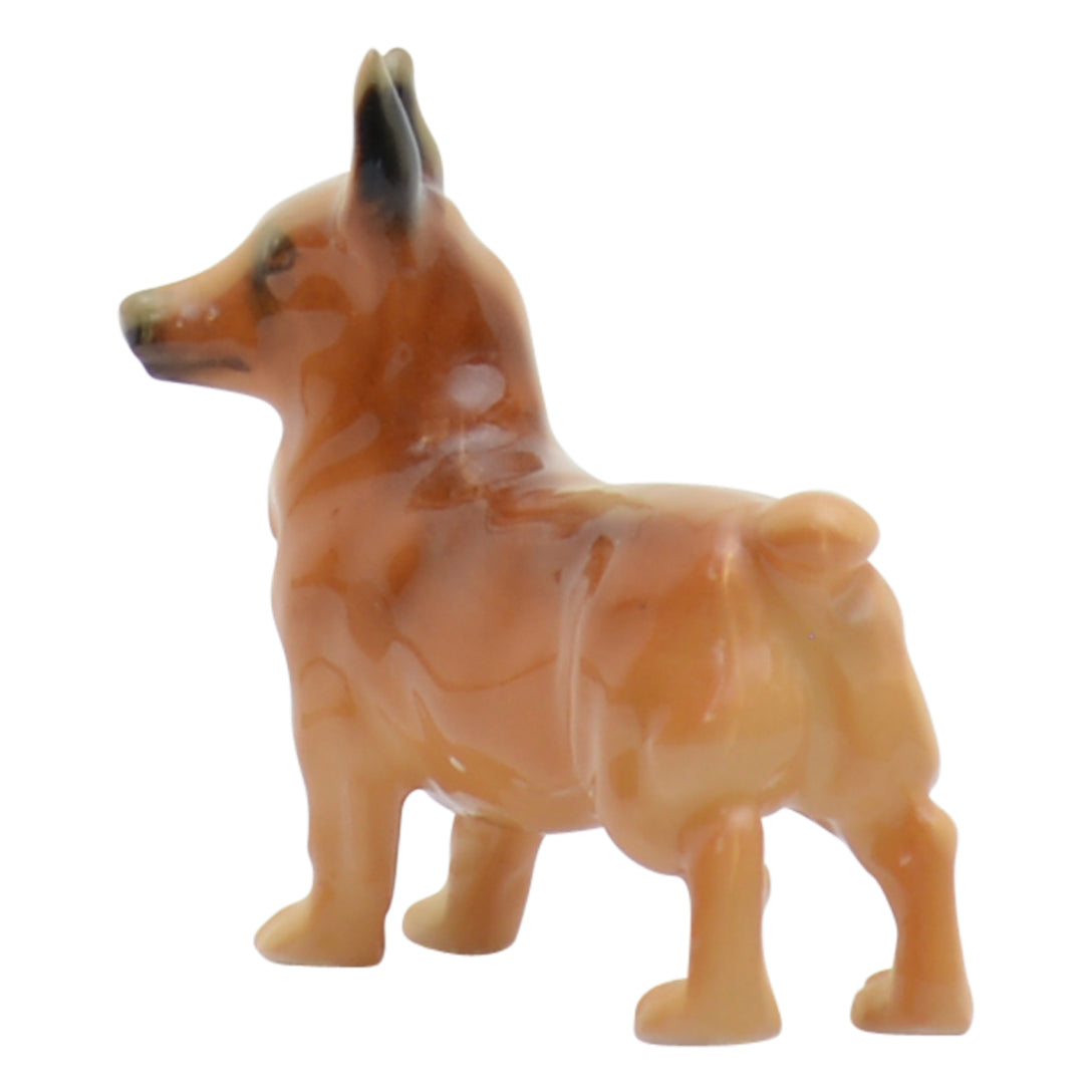 Welsh Corgi K16