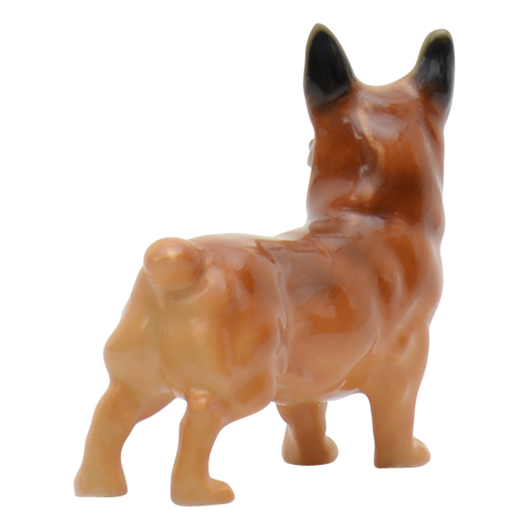 Welsh Corgi K16