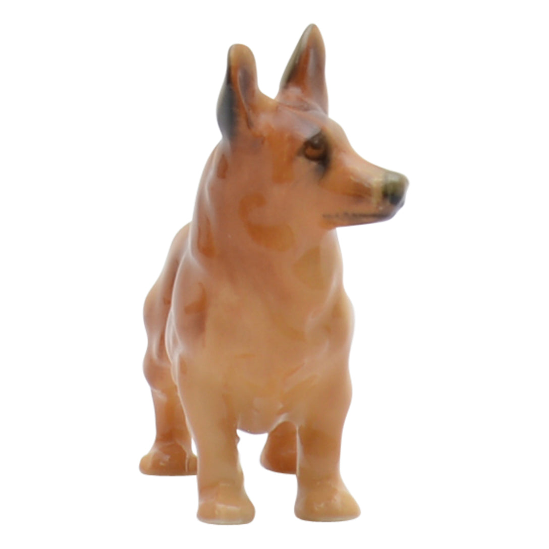 Welsh Corgi K16