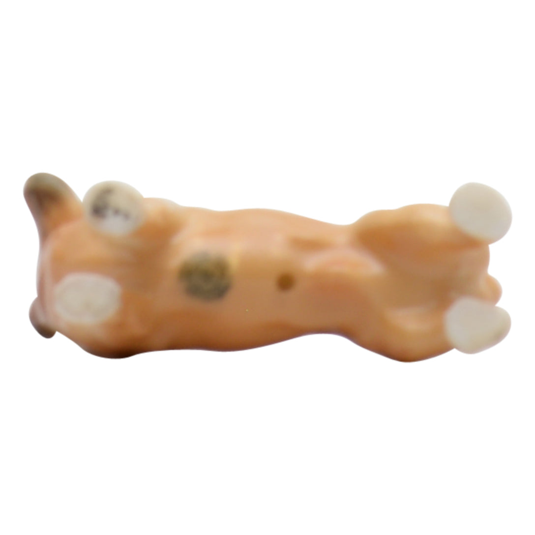 Welsh Corgi K16