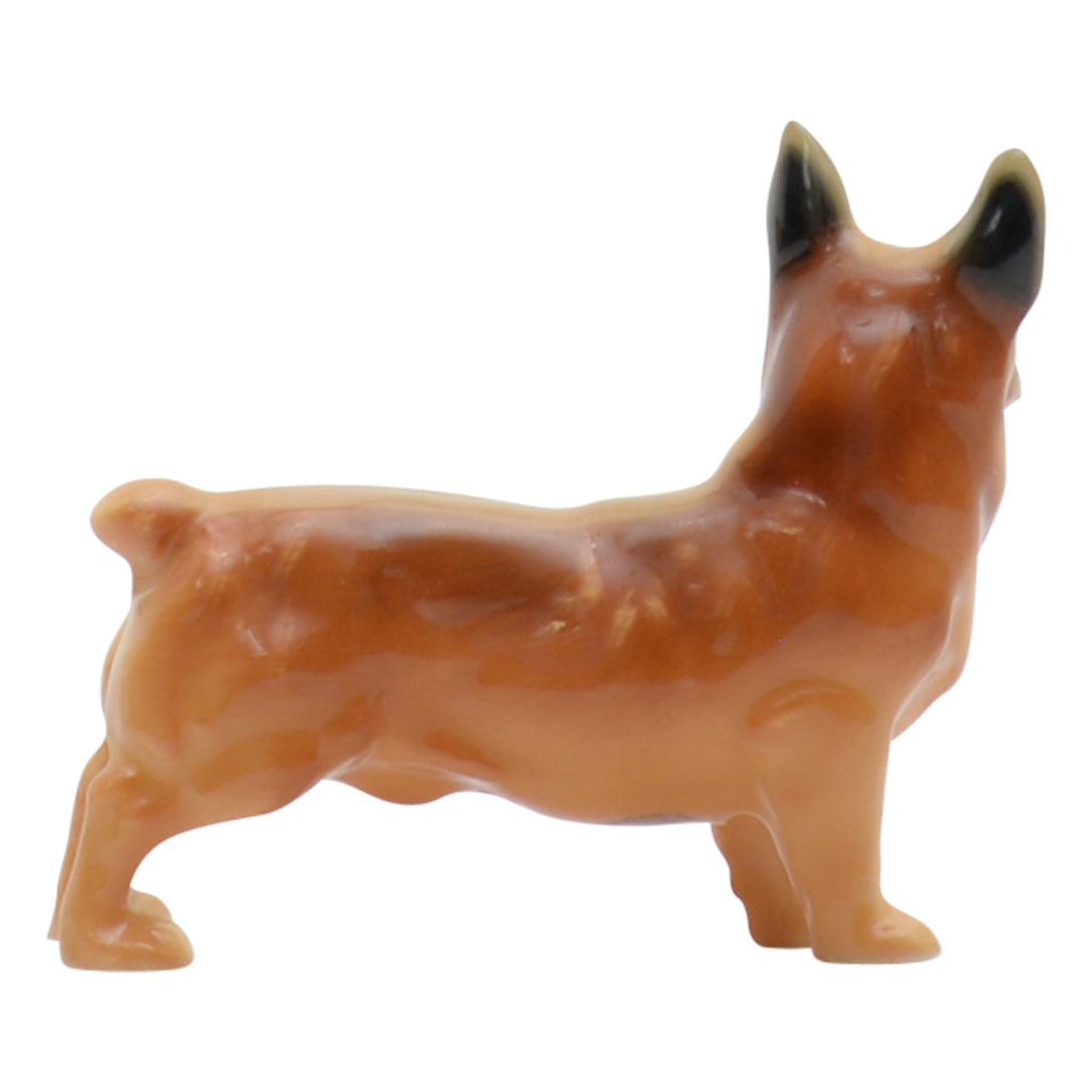 Welsh Corgi K16