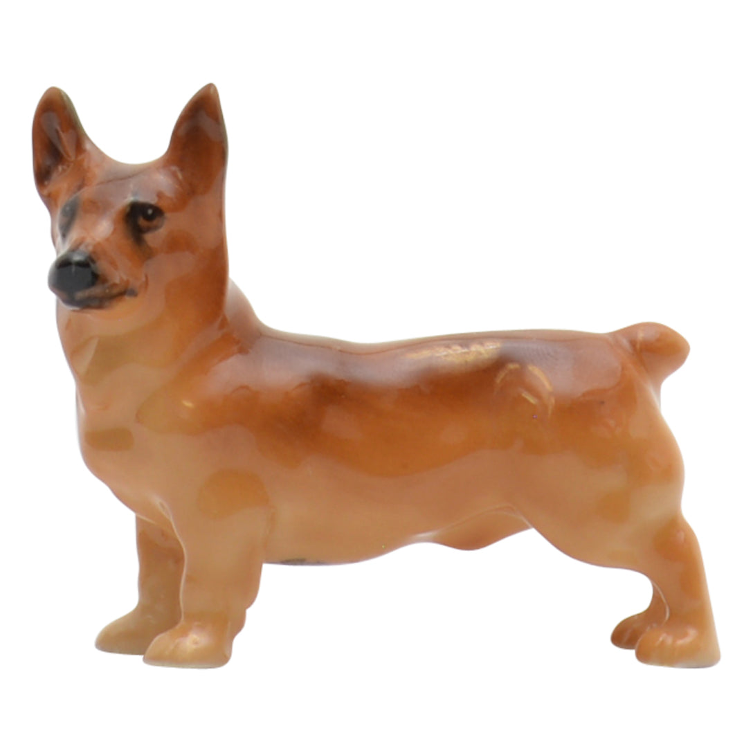 Welsh Corgi K16