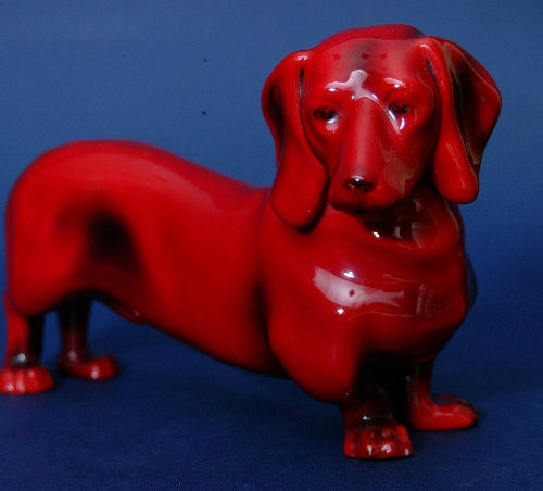 Dashhund dog flambe