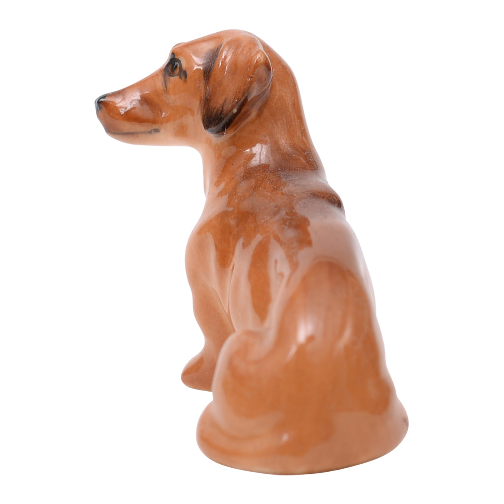 Dachsund Seated