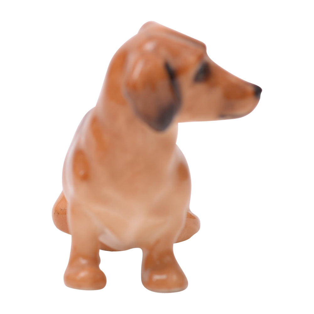 Dachsund Seated