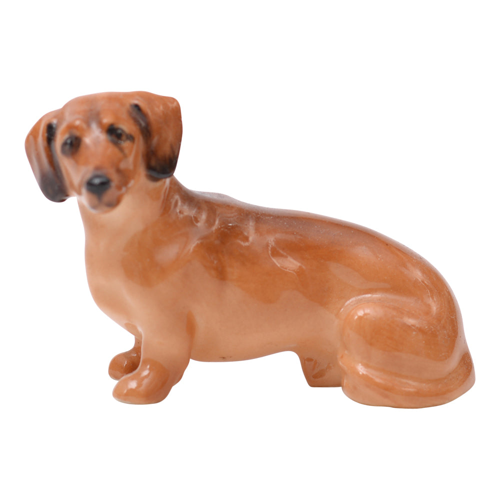 Dachsund Seated