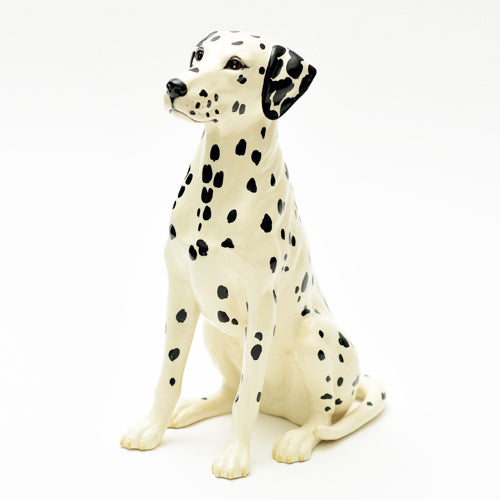 Dalmatian Large