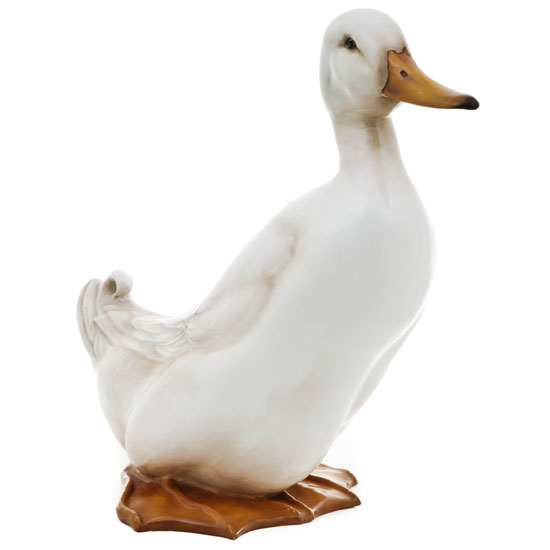 Drake Standing HN2635