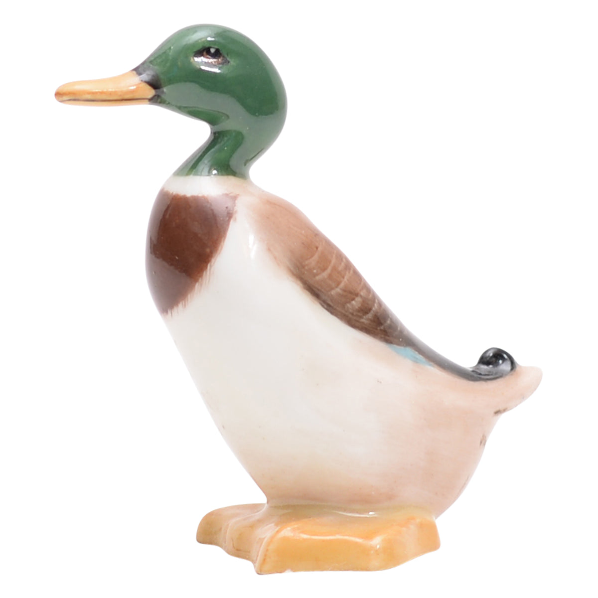 Duck Standing