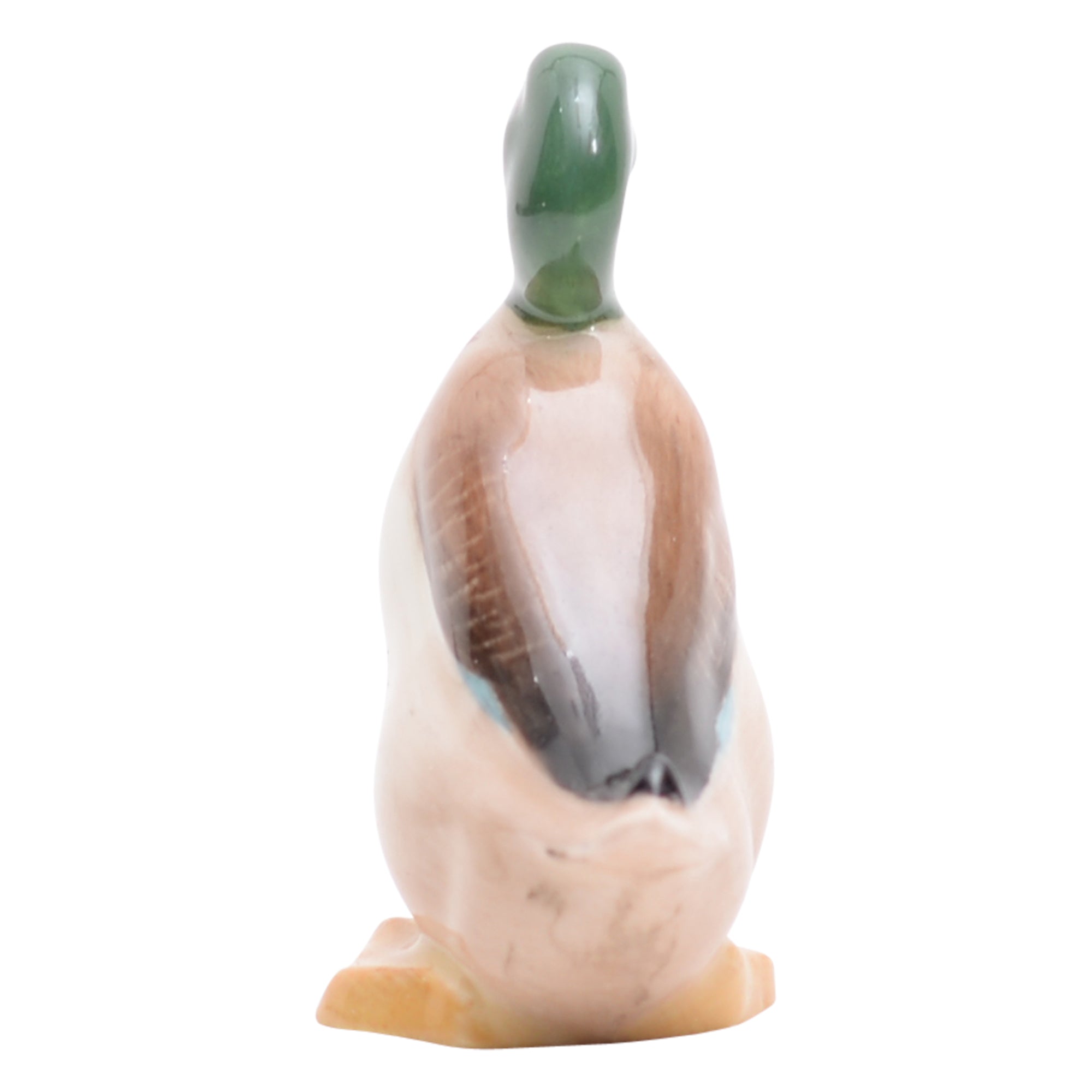 Duck Standing
