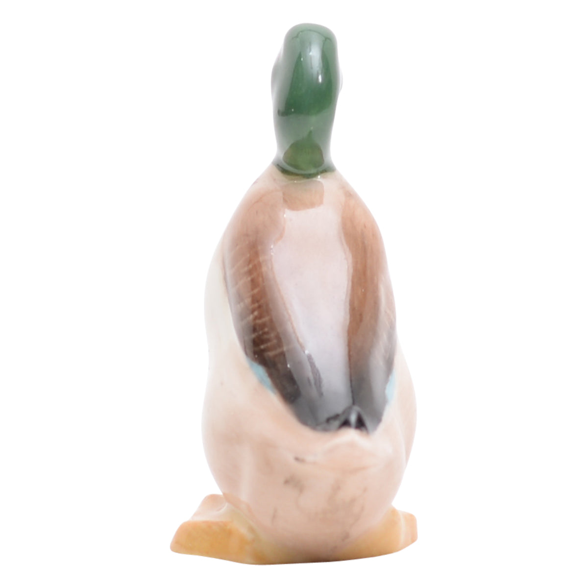Duck Standing