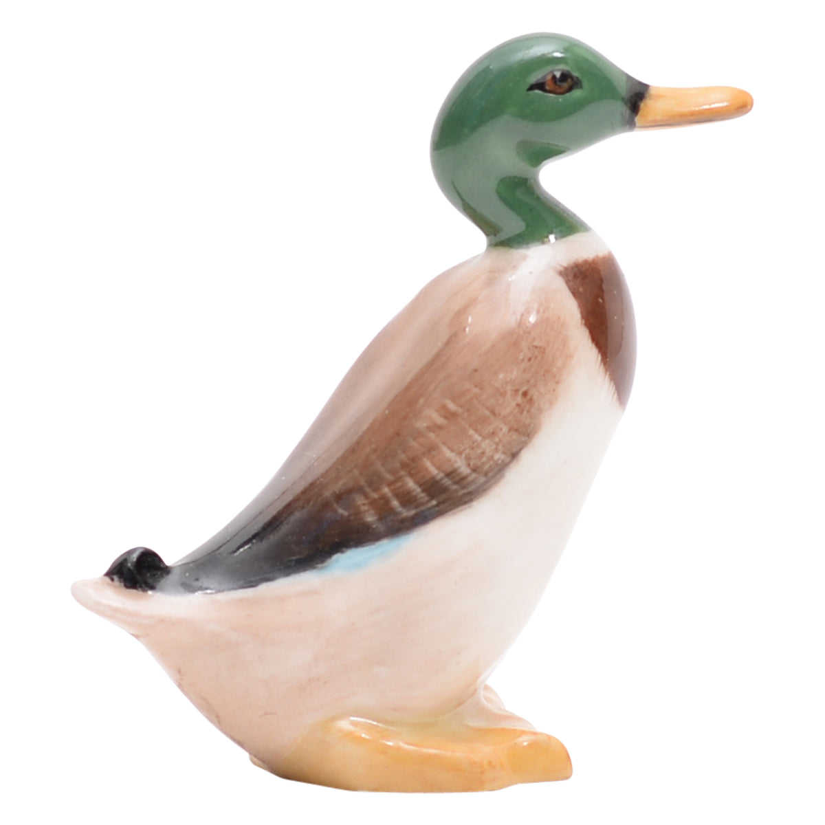 Duck Standing