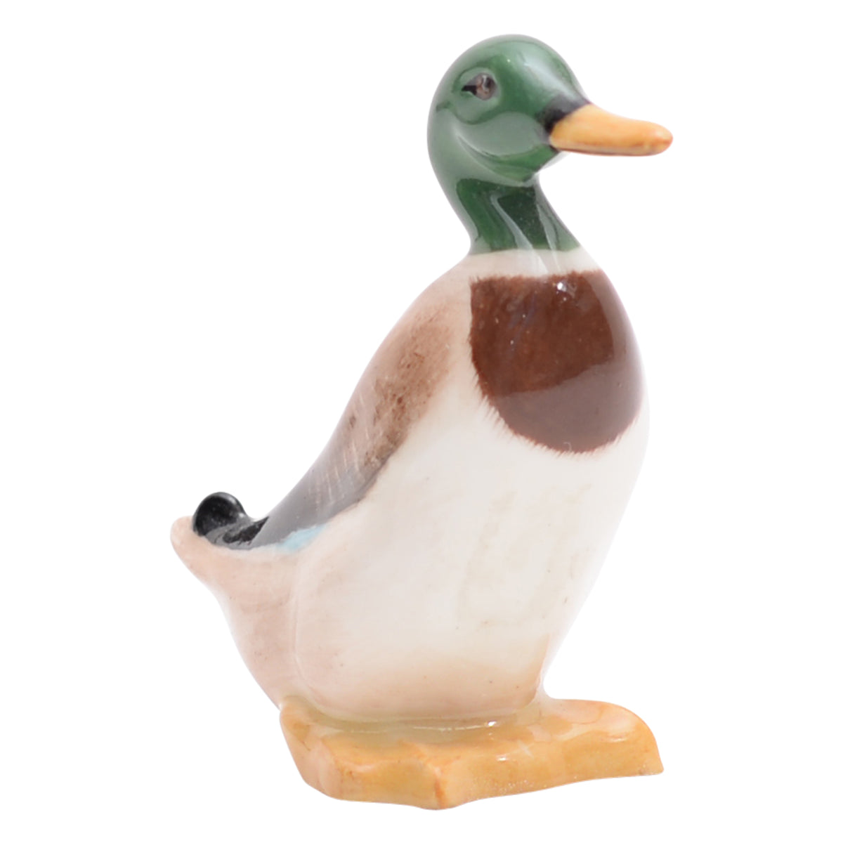 Duck Standing