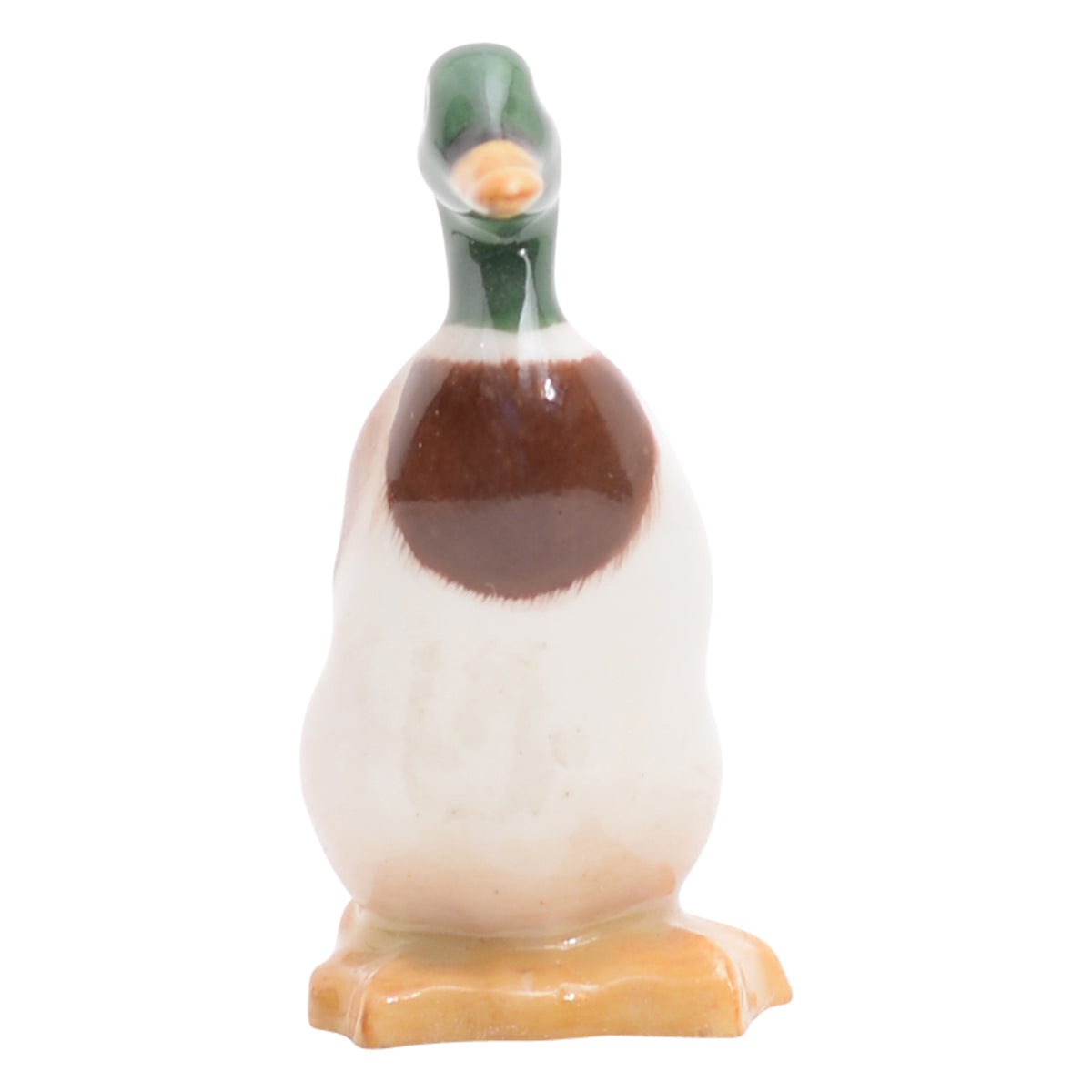 Duck Standing