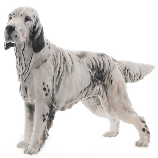 English Setter CH. Maesydd Mustard