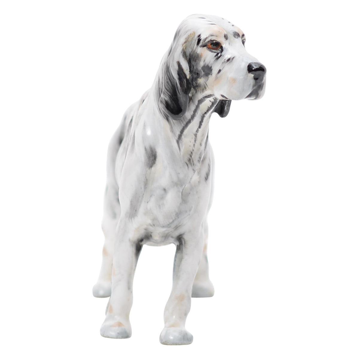 English Setter Small (as is condition)