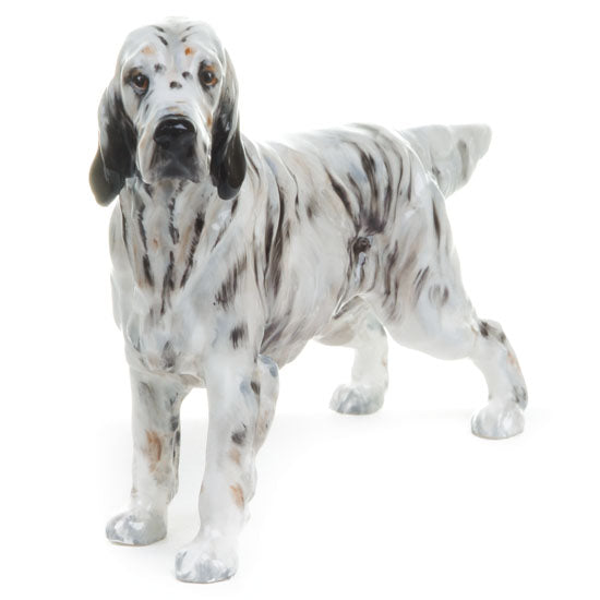 English Setter Small