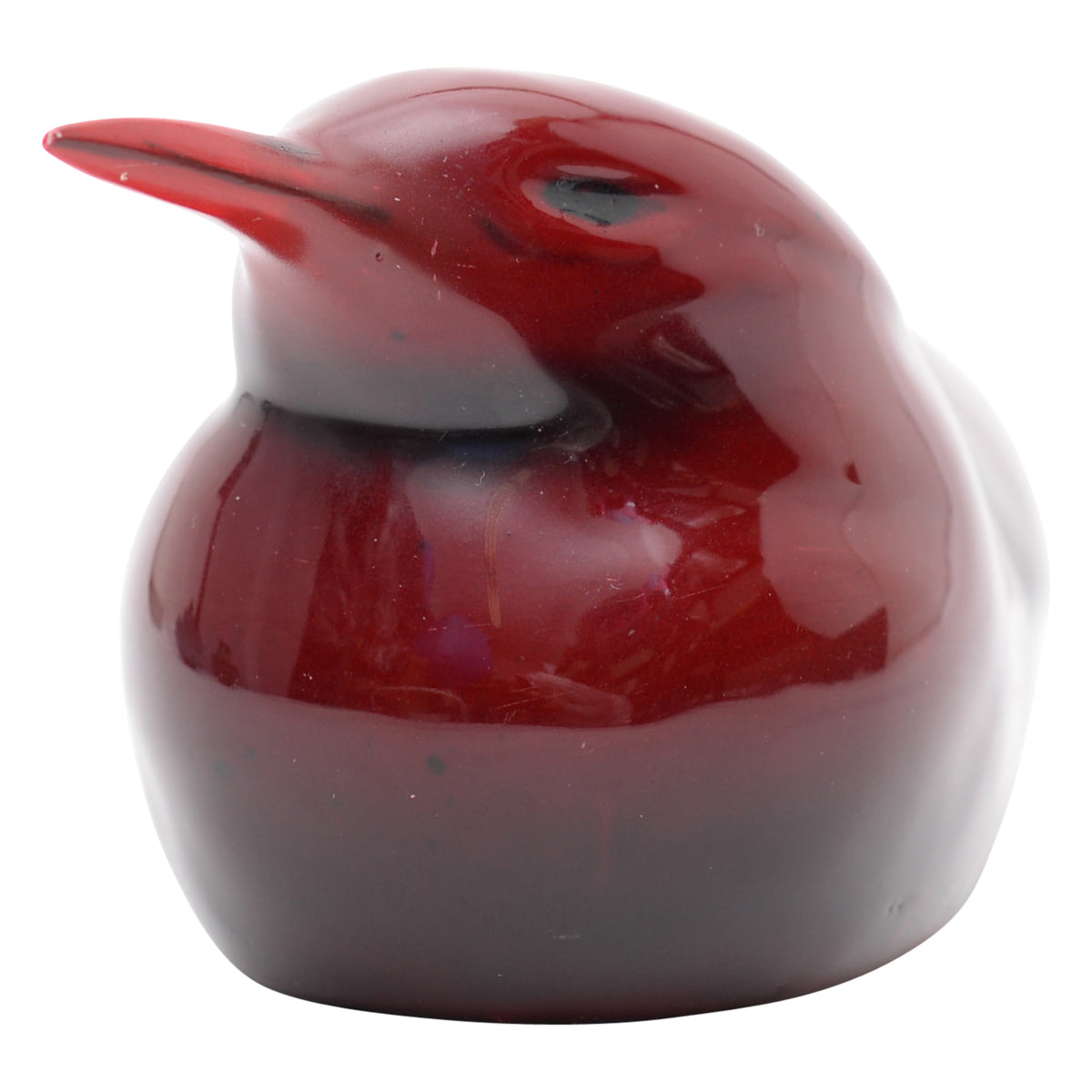 Tern Bird Seagull flambe