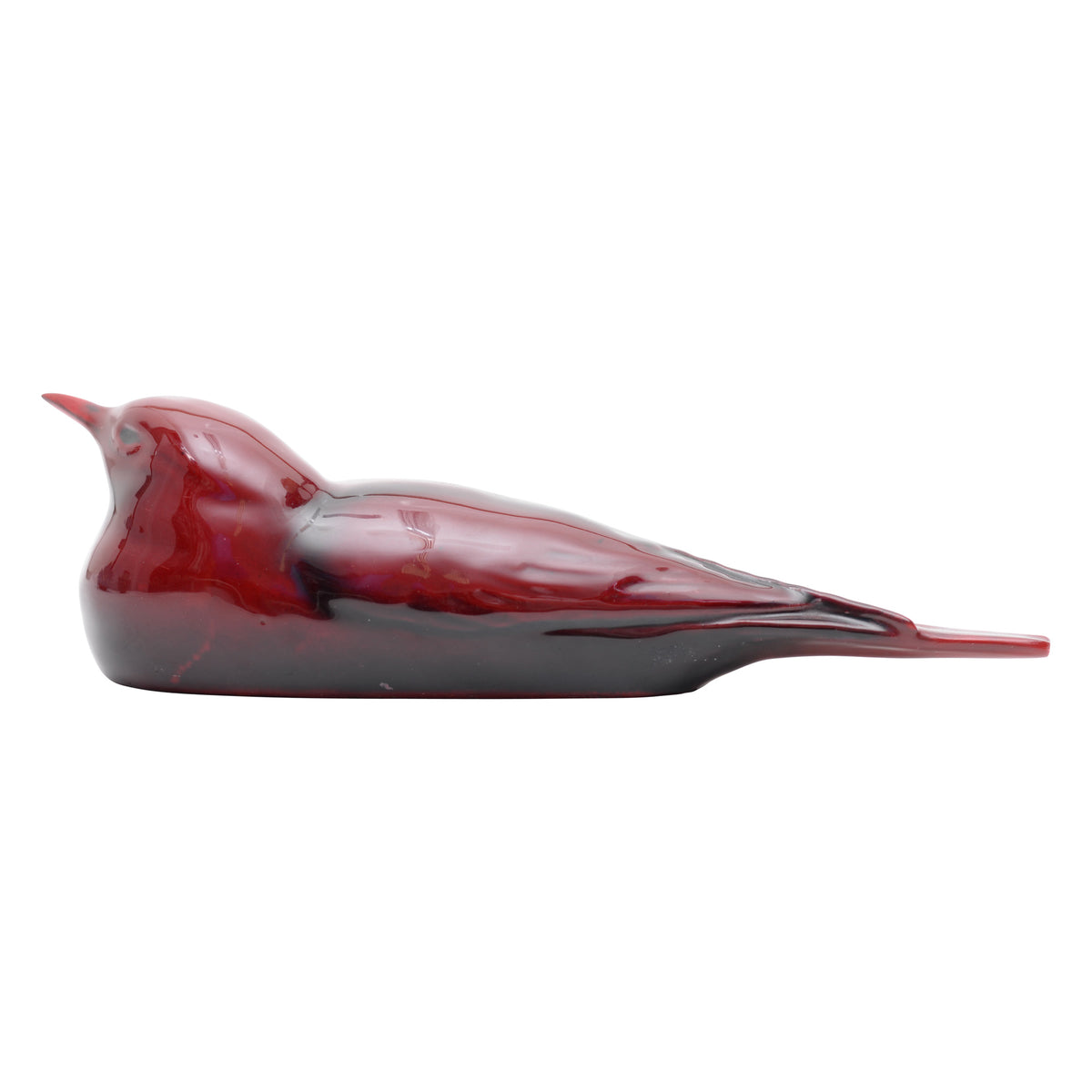 Tern Bird Seagull flambe