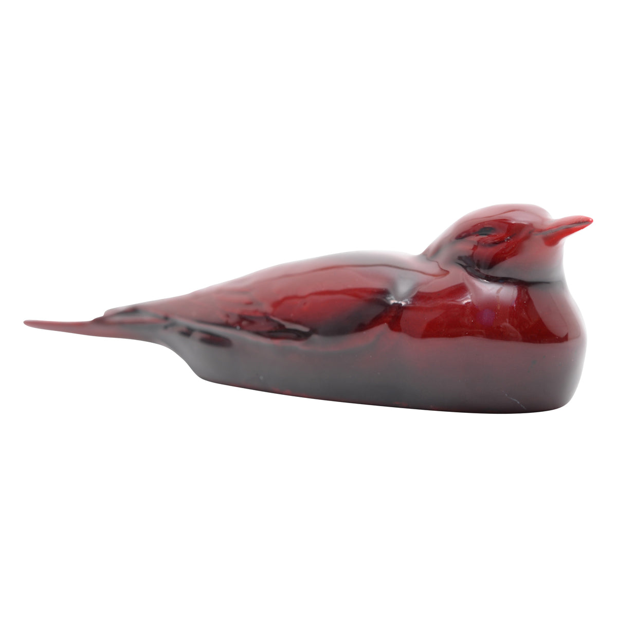 Tern Bird Seagull flambe