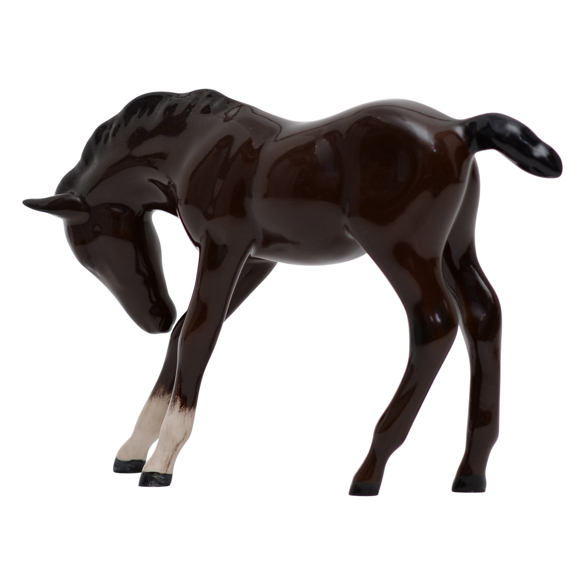 Foal head down