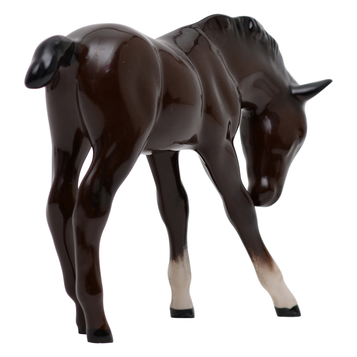 Foal head down