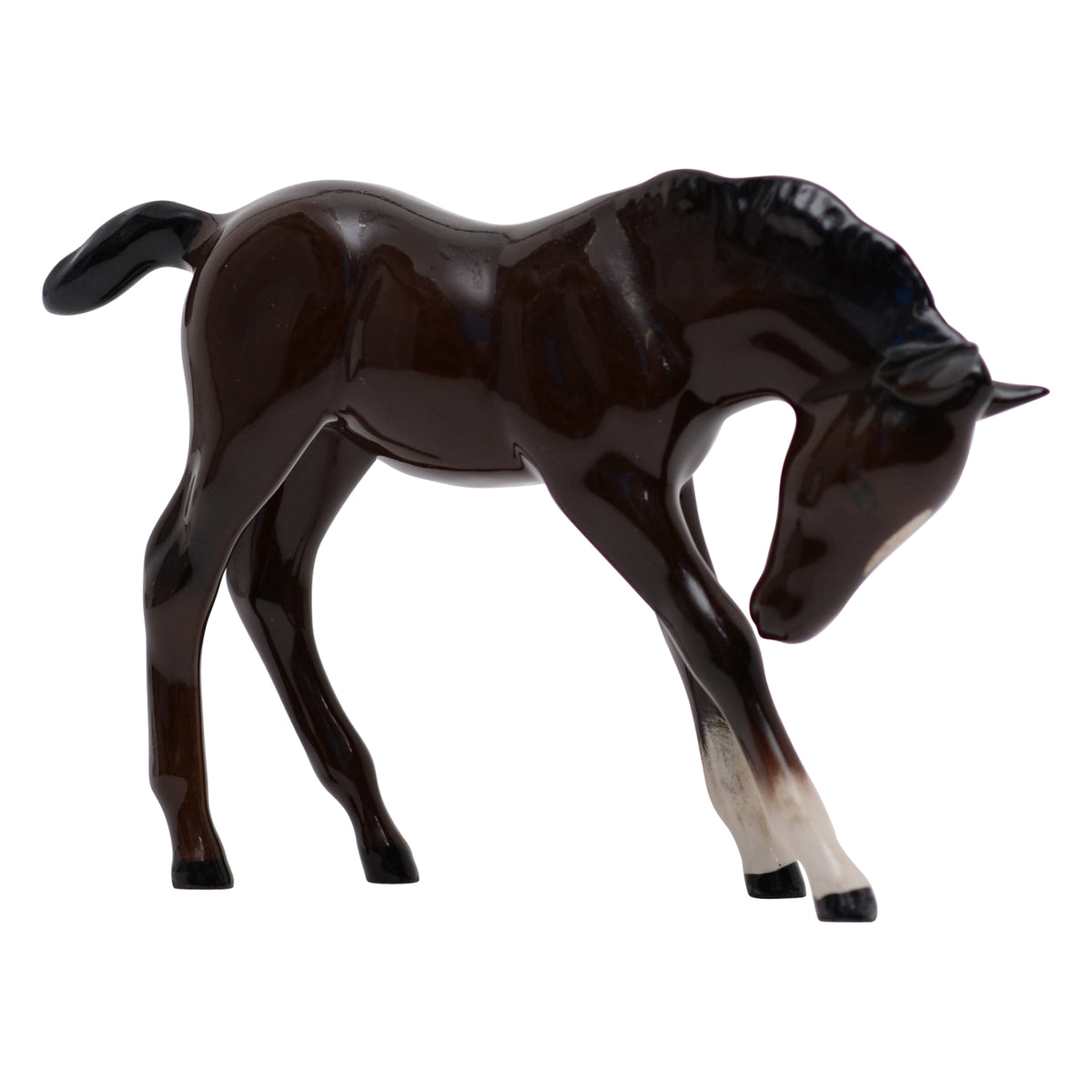 Foal head down
