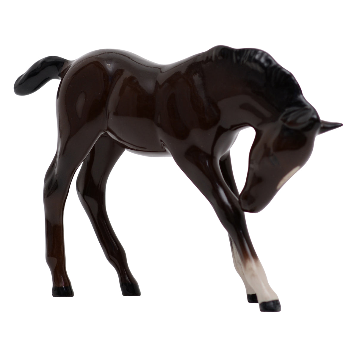 Foal head down