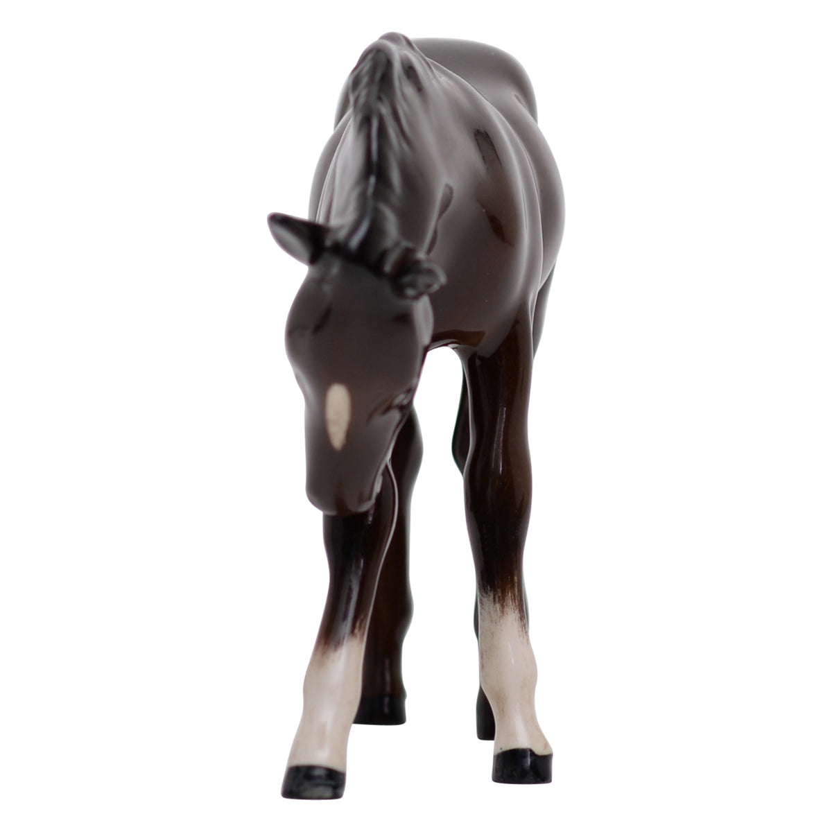 Foal head down