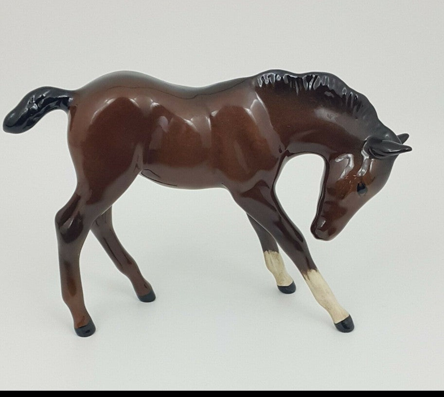 Foal head down