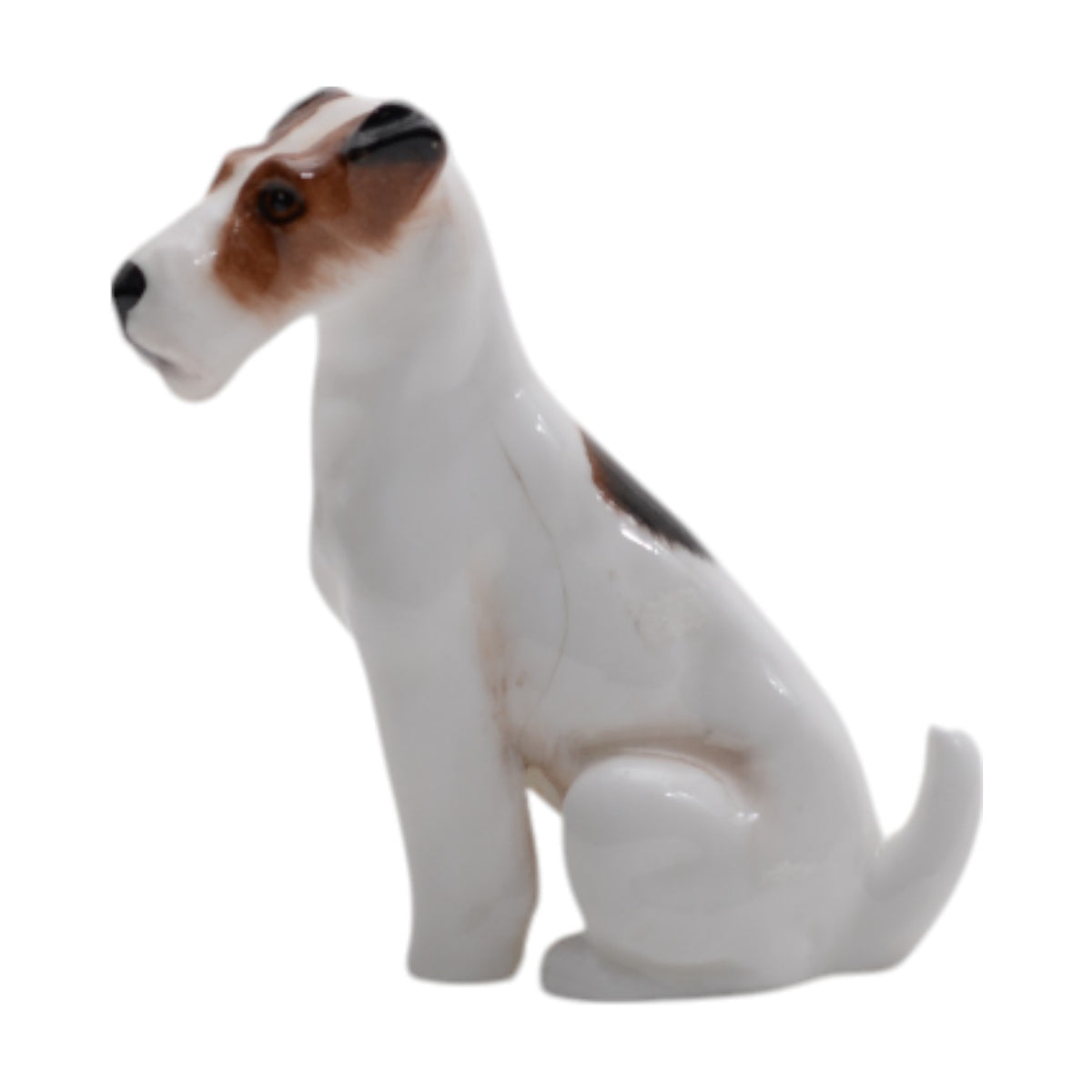 Fox Terrier Seated