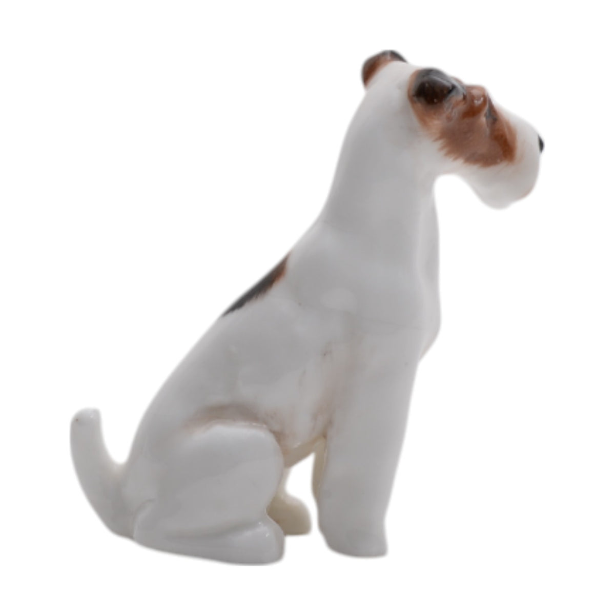 Fox Terrier Seated